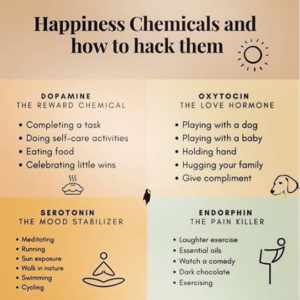 Happiness hacks graphic that I found on Reddit
